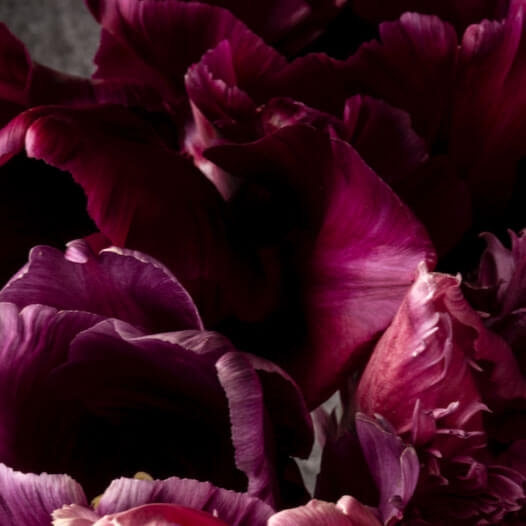 vailetier-sustainable-makeup_30.jpg
