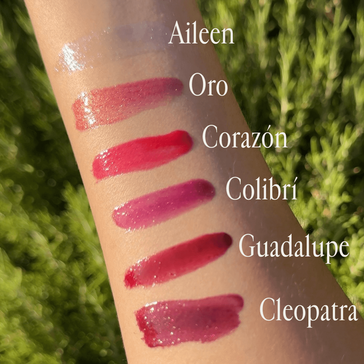 Lip Gloss Bundle